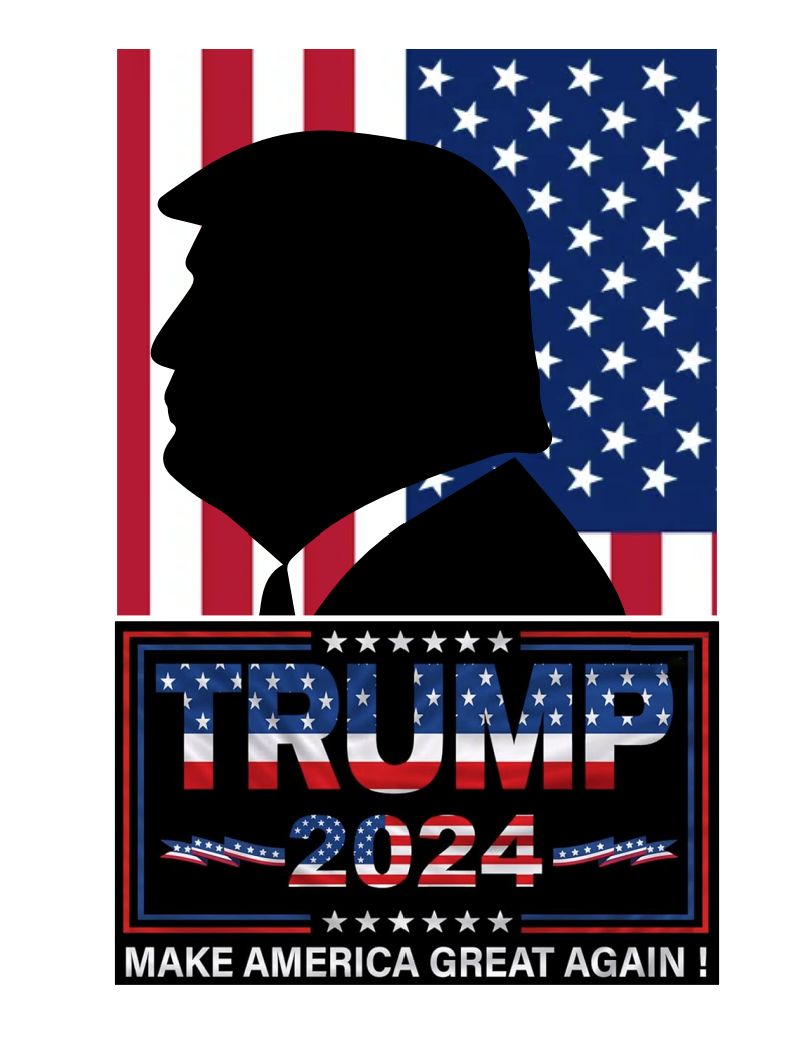 Donald Trump 2024 T-Shirt | Election 2024 | Take America Back